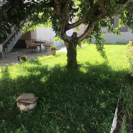 Harmony Apartment Nea Karvali Dış mekan fotoğraf