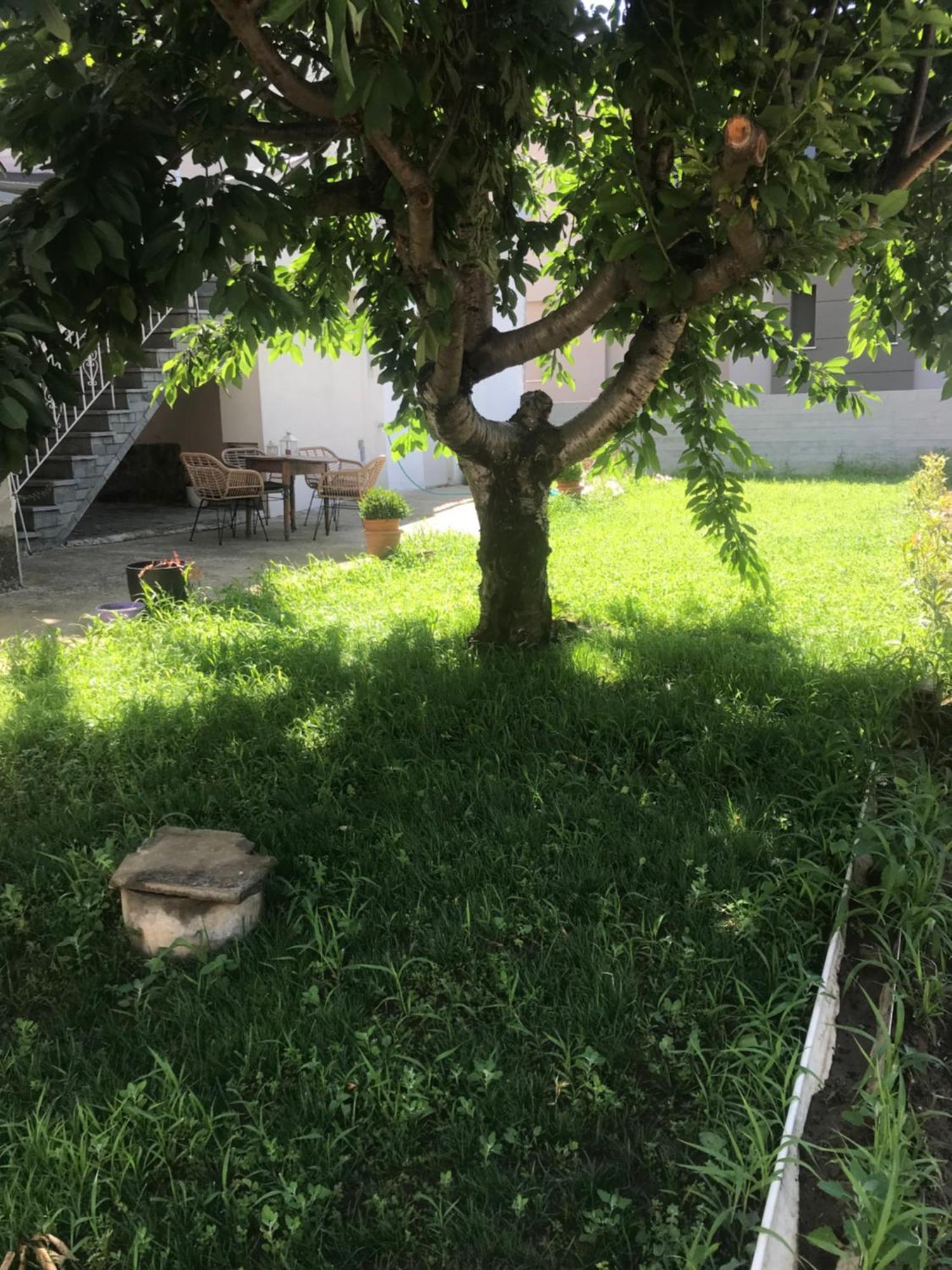 Harmony Apartment Nea Karvali Dış mekan fotoğraf